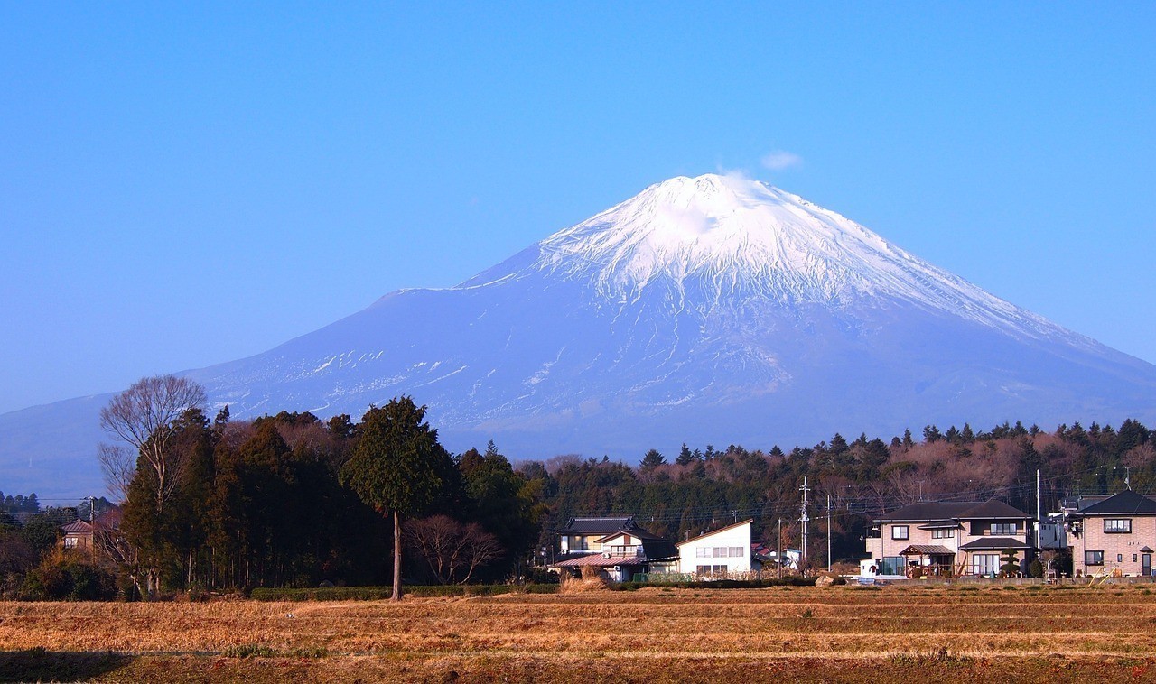 蕉嶺縣新鋪鎮龍秀果場