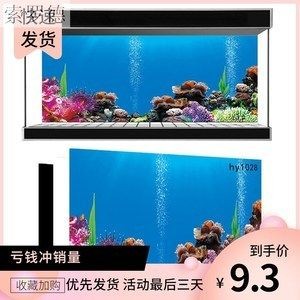 海鮮魚缸設計的基礎知識：海洋生物學與海洋生物學與海洋生物學與海鮮養殖技術指南