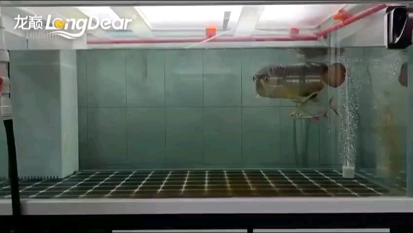 轉發822