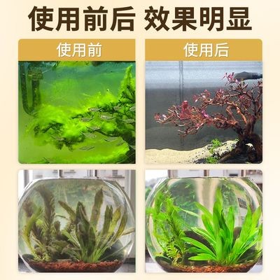魚缸綠藻怎么徹底消滅最簡單方法視頻（魚缸綠藻怎么徹底消滅）