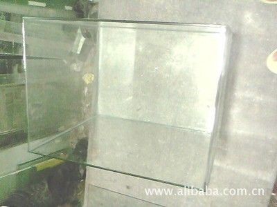女王魚壽命一般多久