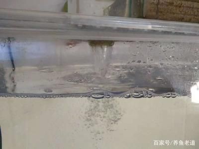 底濾魚缸停電后會導致溢流嗎？：底濾魚缸停電會導致溢流嗎？