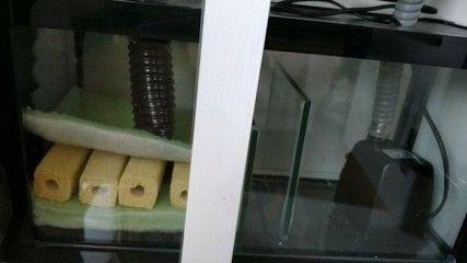 底濾魚缸停電后會導致溢流嗎？：底濾魚缸停電會導致溢流嗎？