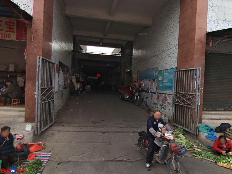 廣州哪里是批發(fā)龍魚的地方啊圖片大全