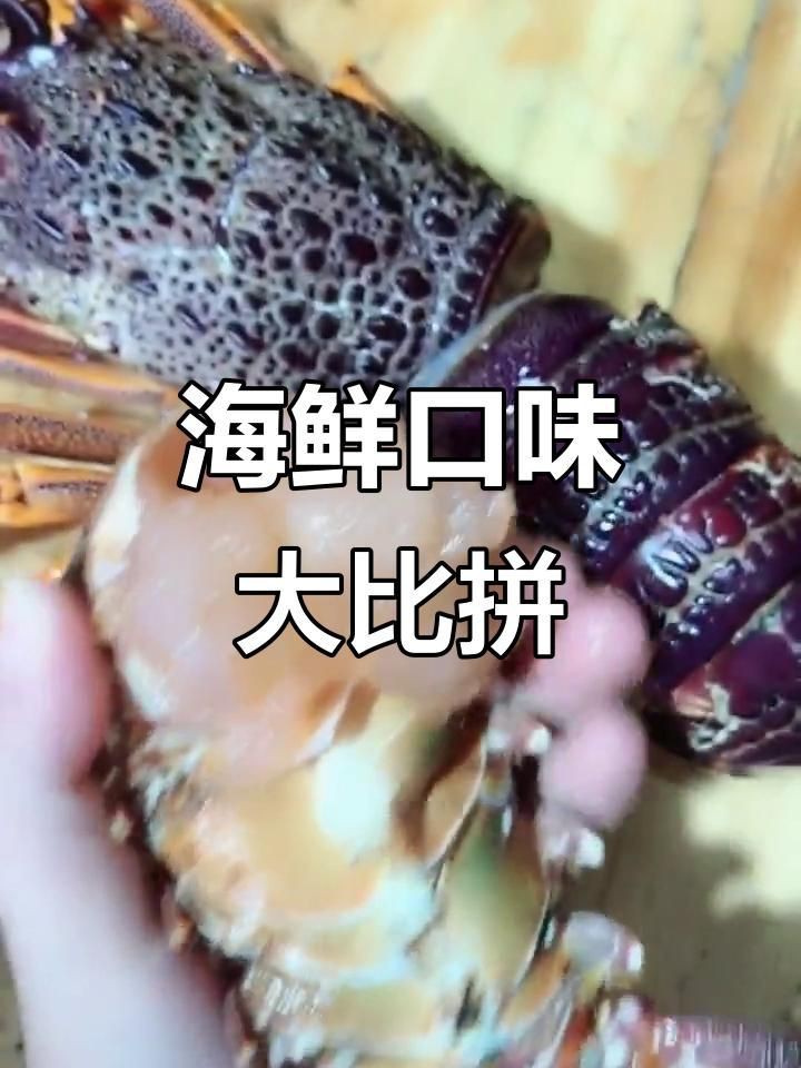 紅龍澳龍的區別 紅龍澳龍的區別 龍魚論壇 第7張