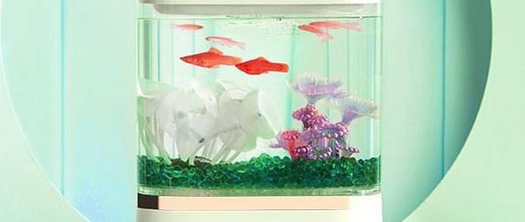 泓御智捷魚缸：泓御智捷智能家居產(chǎn)品牌對(duì)比分析