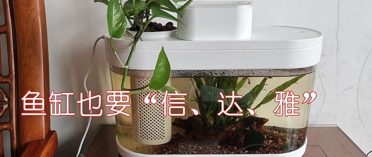 畫法幾何懶人魚缸 評測：小米有品推出“畫法幾何”懶人魚缸用戶評價匯總