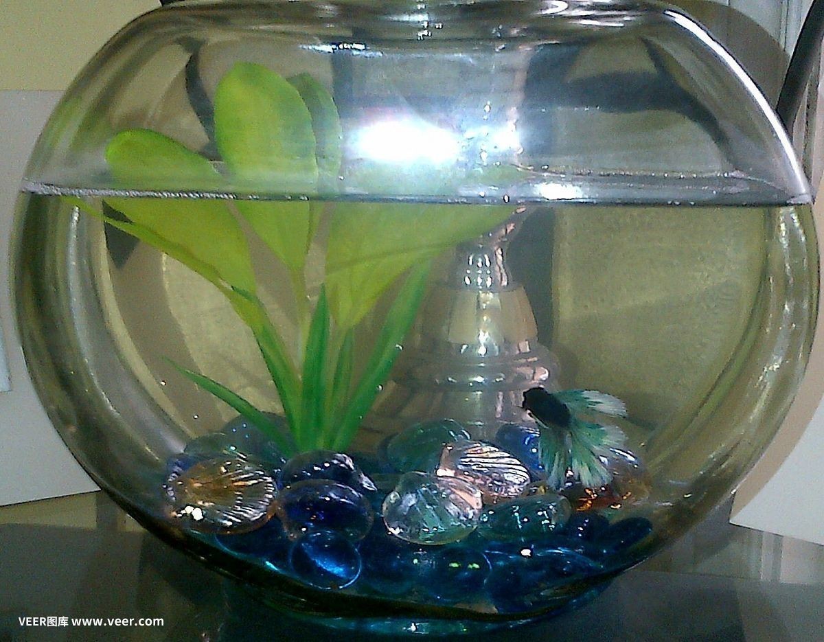 懷化龍魚魚缸：懷化龍魚魚缸，打造家居水族藝術(shù)的完美選擇