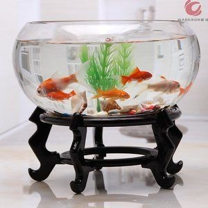 鋼化玻璃自爆風險不能切割鋼化玻璃做魚缸材質選擇指南：鋼化玻璃可以做魚缸嗎？