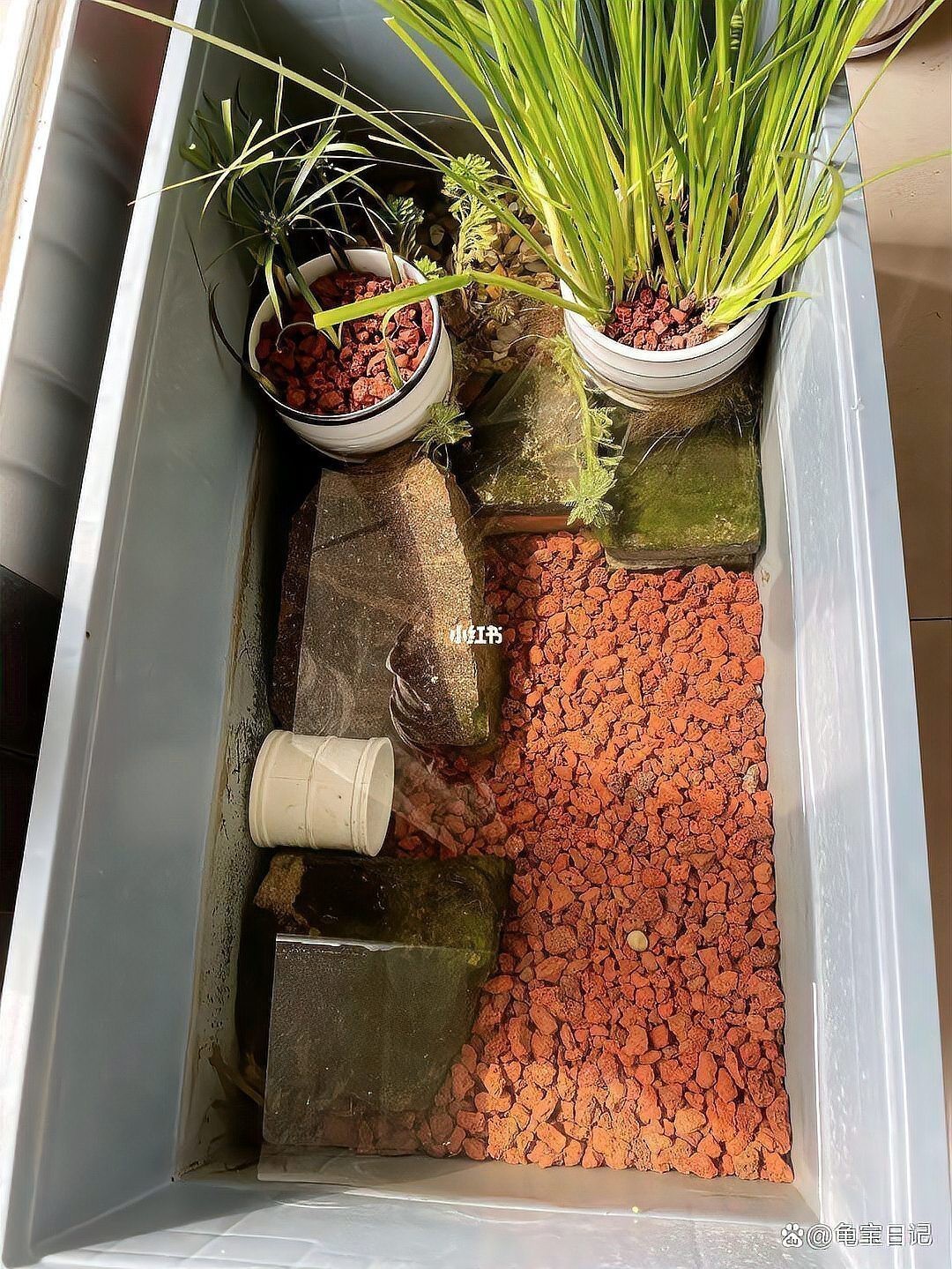 西龍魚缸怎么安裝