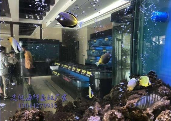 陜西晨誠工貿有限責任公司西安水族店（西安晨創水處理技術有限公司）