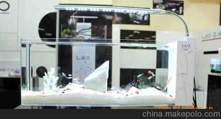 萊易歐魚缸好嗎：萊易歐魚缸評測報告