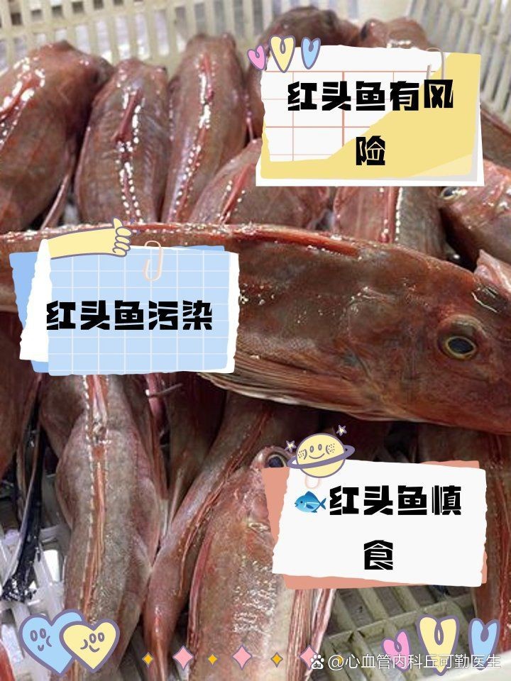紅頭魚為啥少吃