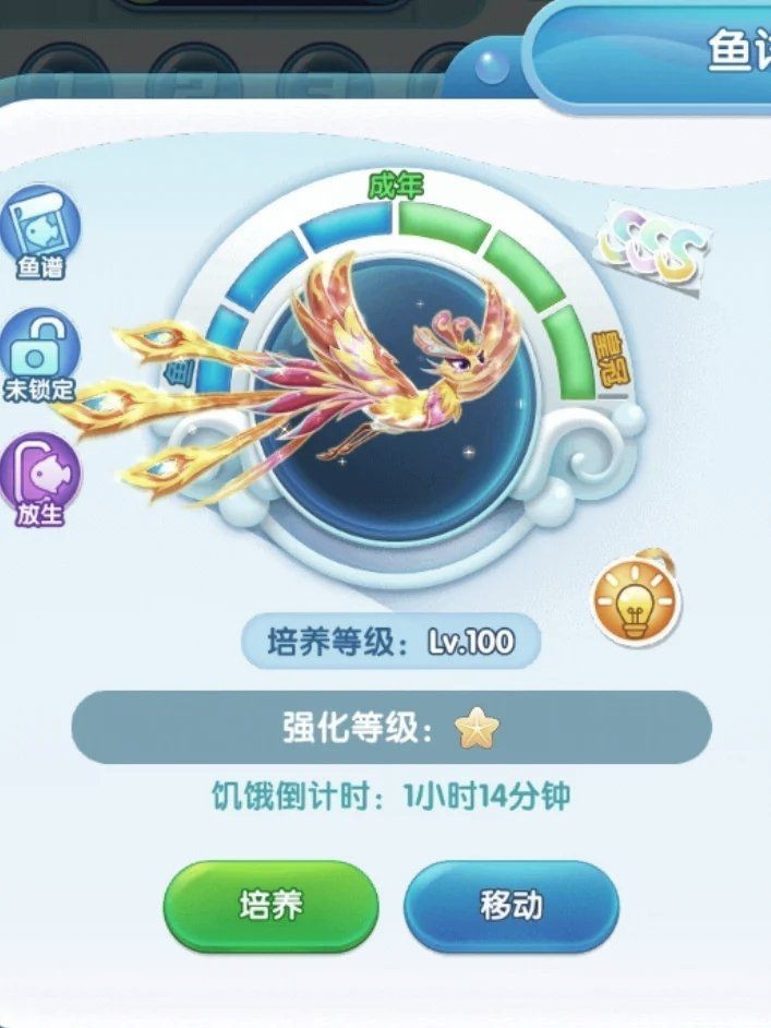 高端火鳳凰魚圖片 高端火鳳凰魚圖片 龍魚論壇 第28張