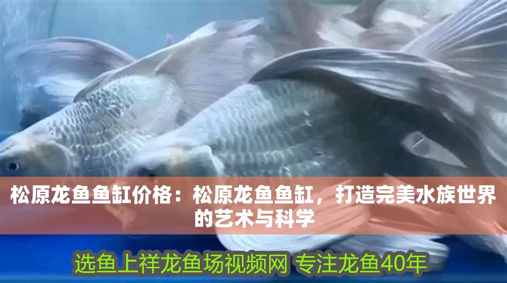 松原龍魚魚缸價格：松原龍魚魚缸，打造完美水族世界的藝術與科學