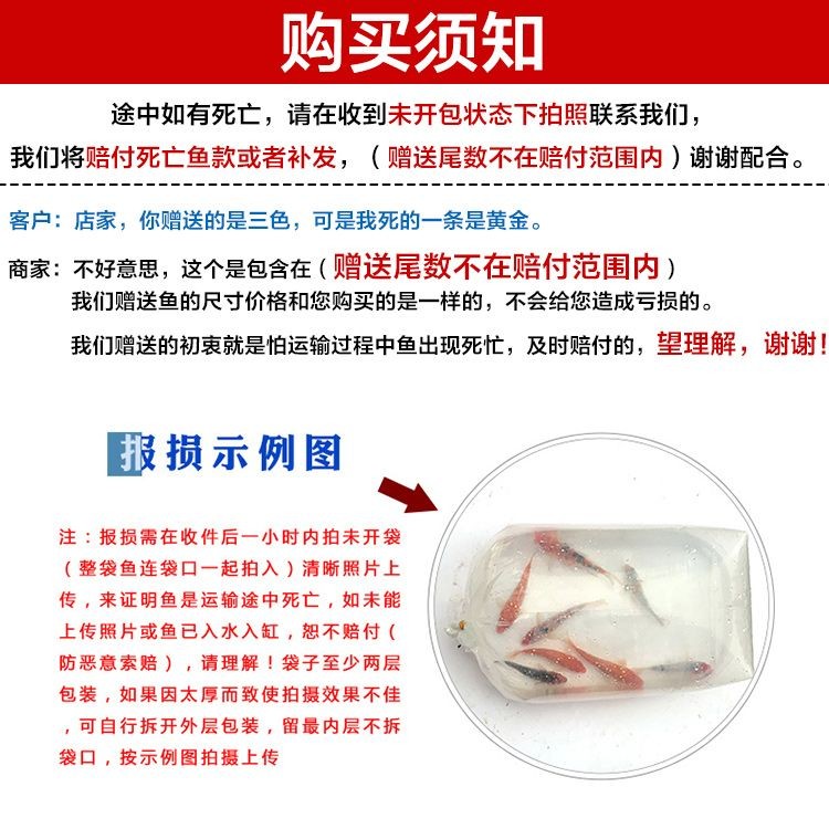金牛區(qū)愛心觀賞魚類經(jīng)營部（金牛區(qū)愛心觀賞魚類經(jīng)營部地址）