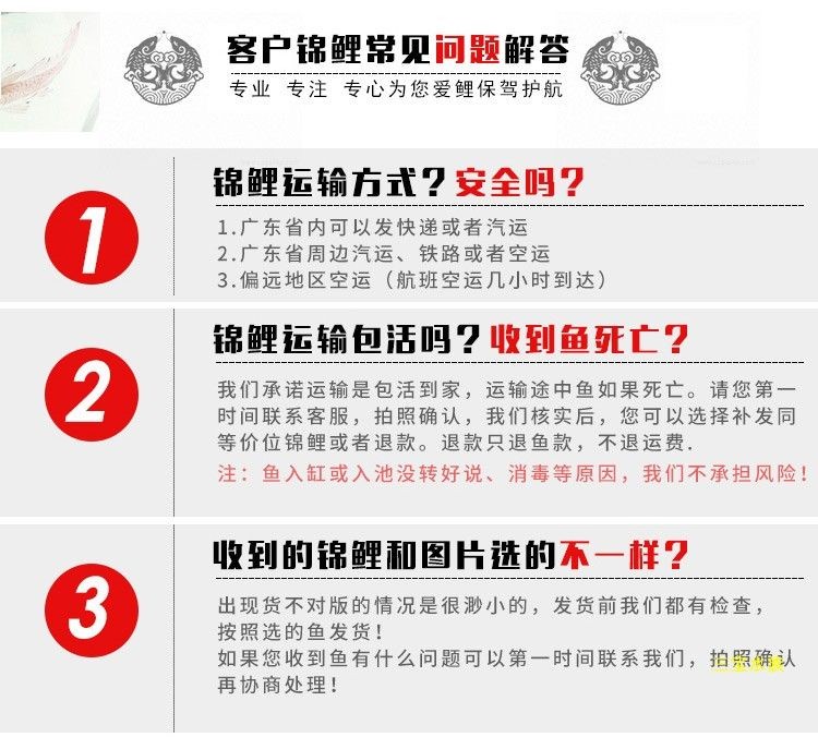 金牛區(qū)愛心觀賞魚類經(jīng)營部（金牛區(qū)愛心觀賞魚類經(jīng)營部地址）