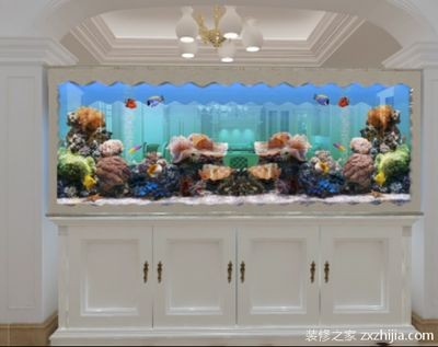 魚缸尺寸與養魚技巧探討魚缸尺寸對養魚的影響：如何根據魚缸尺寸來進行水草造景和魚類搭配