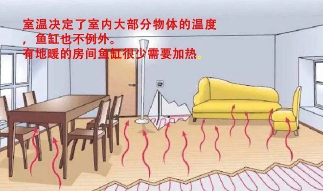 魚(yú)缸加熱棒功率計(jì)算實(shí)例：如何選擇魚(yú)缸加熱棒