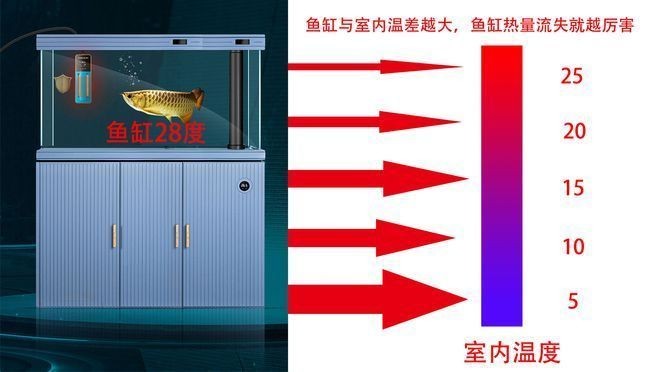 魚(yú)缸加熱棒功率計(jì)算實(shí)例：如何選擇魚(yú)缸加熱棒