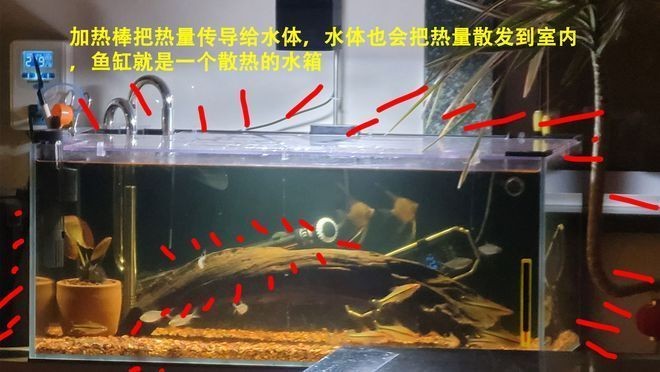 魚(yú)缸加熱棒功率計(jì)算實(shí)例：如何選擇魚(yú)缸加熱棒