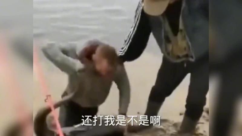 觀賞魚銀鳳