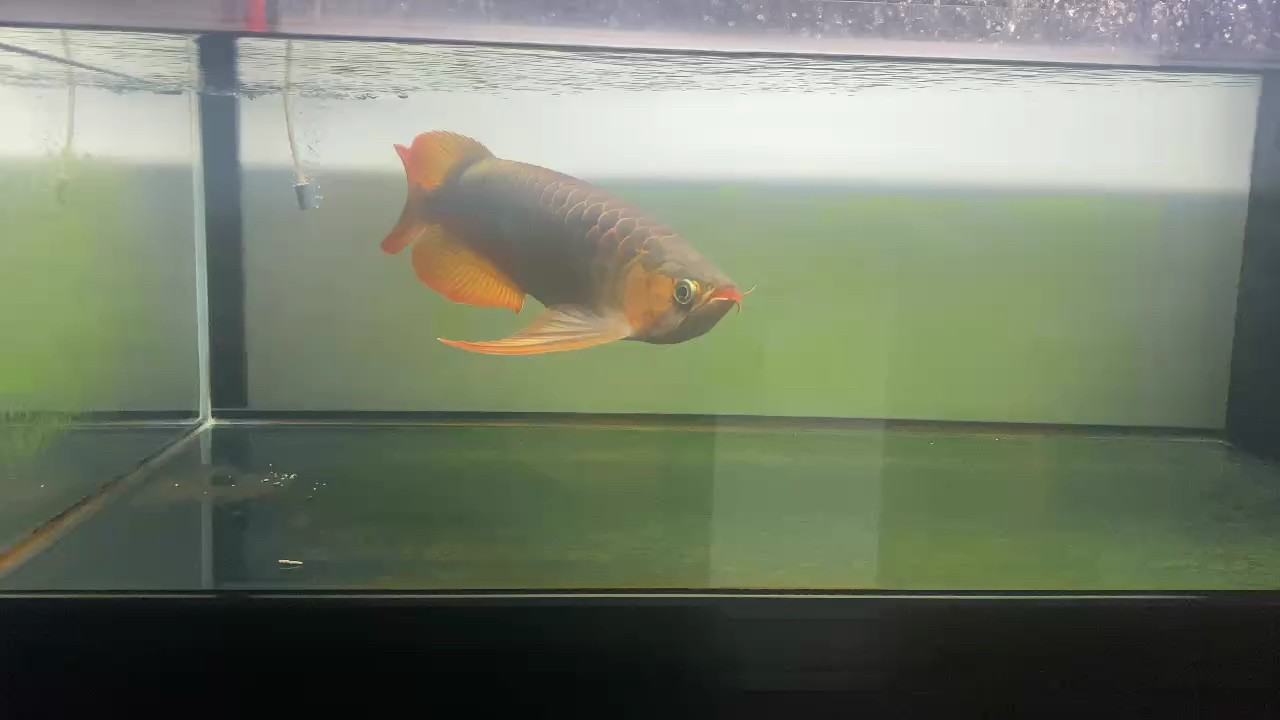 三無