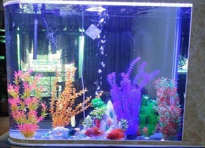 高錳酸鉀、二氧化氯、二氧化氯、鹽水和殺菌燈可以用來消毒：水族箱消毒的基本原理