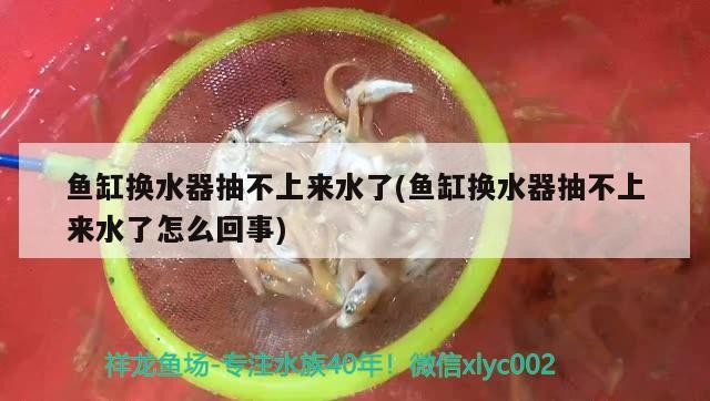 吉林市船營區桃源七彩燕魚繁殖中心（吉林市船營區桃源七彩燕魚繁殖中心電話）