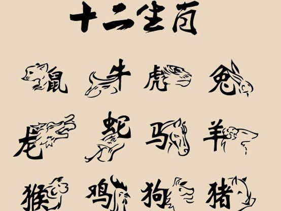 道猜一動物