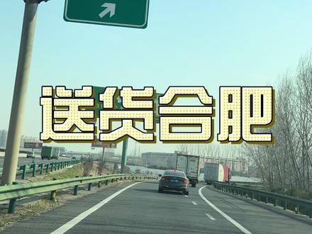 杭州龍魚打包公司