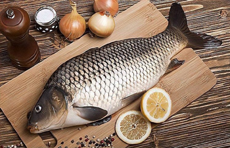 蝴蝶魚寓意
