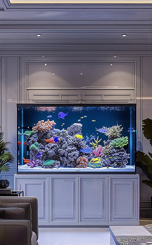 客廳放魚缸的最佳位置風水圖 客廳放魚缸的最佳位置風水圖 龍魚論壇 第26張