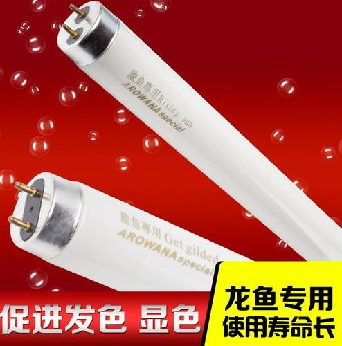 過背金龍魚燈的推薦品牌