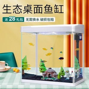 魚缸LED燈色溫選擇技巧:魚缸led燈品牌推薦 魚缸百科 第1張 魚缸LED燈色溫選擇技巧:魚缸led燈品牌推薦 魚缸LED燈色溫選擇技巧:魚缸led燈品牌推薦 魚缸百科 第1張