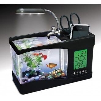魚缸LED燈色溫選擇技巧:魚缸led燈品牌推薦 魚缸百科 第4張 魚缸LED燈色溫選擇技巧:魚缸led燈品牌推薦 魚缸LED燈色溫選擇技巧:魚缸led燈品牌推薦 魚缸百科 第4張