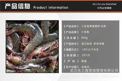 小龍魚的樣子描寫：小龍魚是一種美麗的觀賞魚