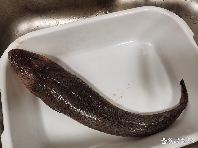 紅頭魚最好吃的做法