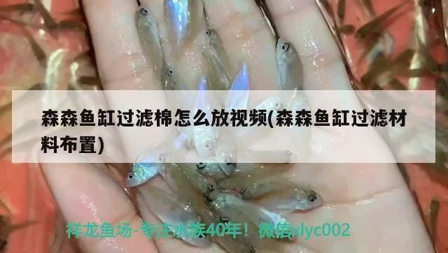 森森魚(yú)缸濾材怎么放：如何判斷魚(yú)缸濾材是否失效