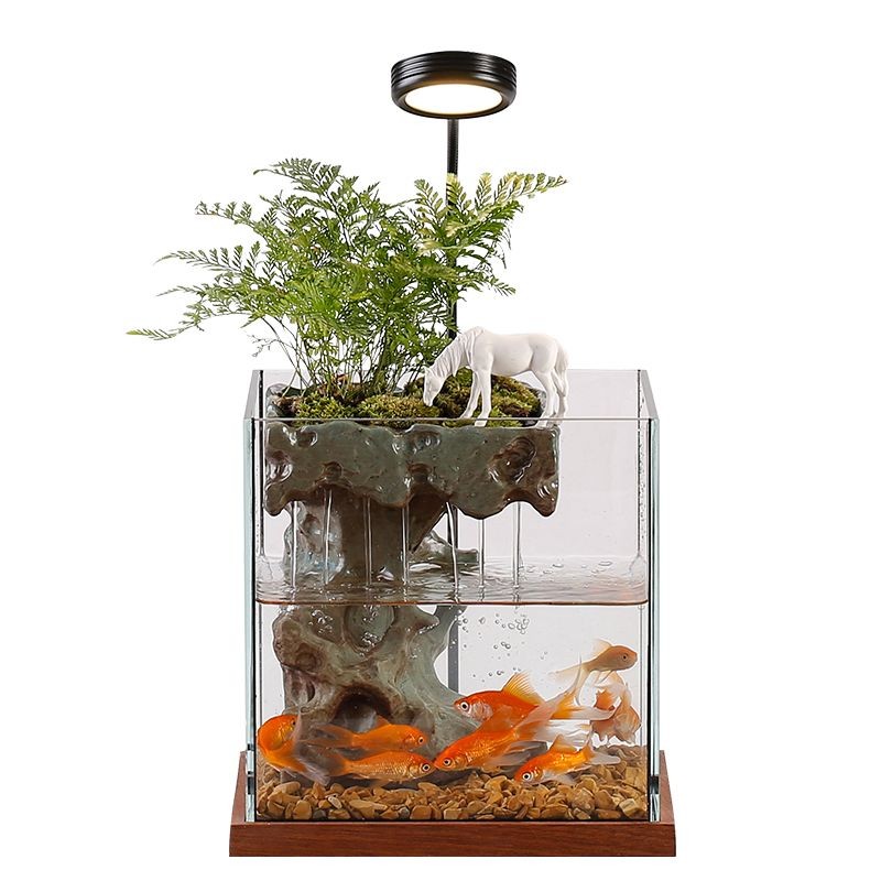 魚缸裝飾品的搭配技巧：如何搭配魚缸裝飾品？
