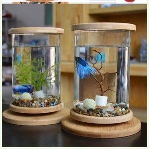 魚缸裝飾品的搭配技巧：如何搭配魚缸裝飾品？