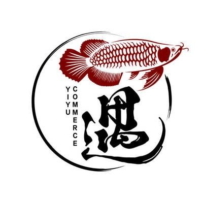 龍魚批發市場在哪里進貨的,龍魚批發市場的進貨渠道 龍魚百科 第2張 龍魚批發市場在哪里進貨的,龍魚批發市場的進貨渠道 龍魚批發市場在哪里進貨的,龍魚批發市場的進貨渠道 龍魚百科 第2張