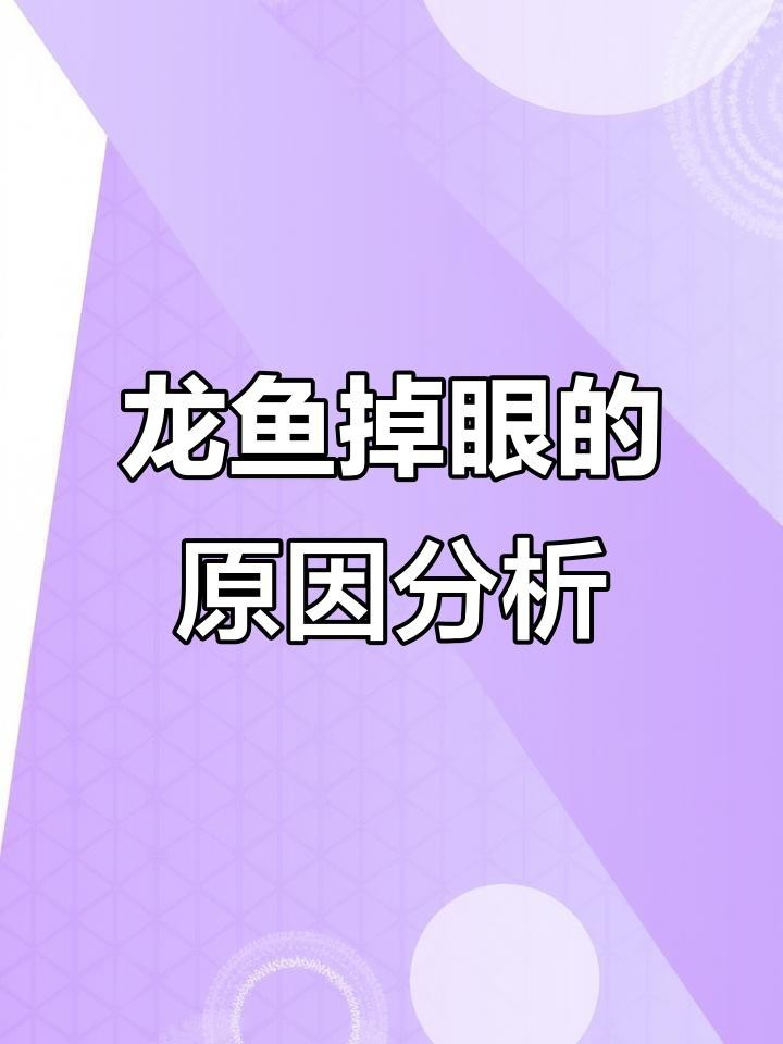 紅龍魚眼睛掉色怎么辦？ 紅龍魚眼睛掉色怎么辦？ 龍魚論壇 第1張