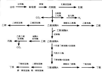 龍魚打傷喂點什么營養好得快一點呢：龍魚受傷后的處理辦法
