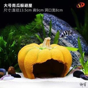 六角恐龍魚魚缸造景用什么好看：六角恐龍魚缸造景布局技巧六角恐龍魚魚缸造景布局技巧