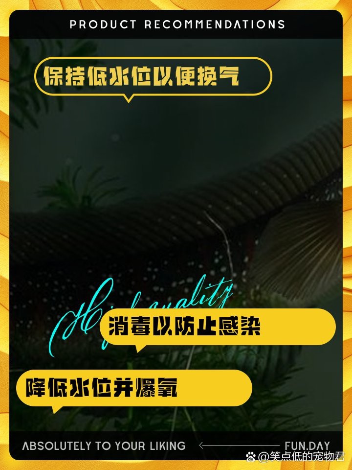 龍魚(yú)跳缸會(huì)自愈嗎