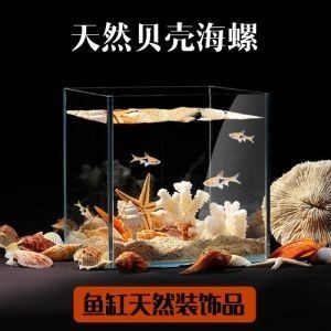 海星牌魚缸一米價(jià)格是多少：海星牌魚缸一米價(jià)格