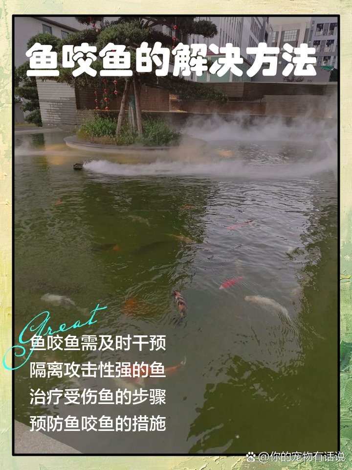 飛風魚咬黑桃A最簡單處理方法