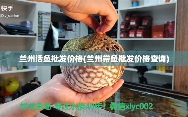 蘭州其他配魚（蘭州特色魚菜制作教程,）