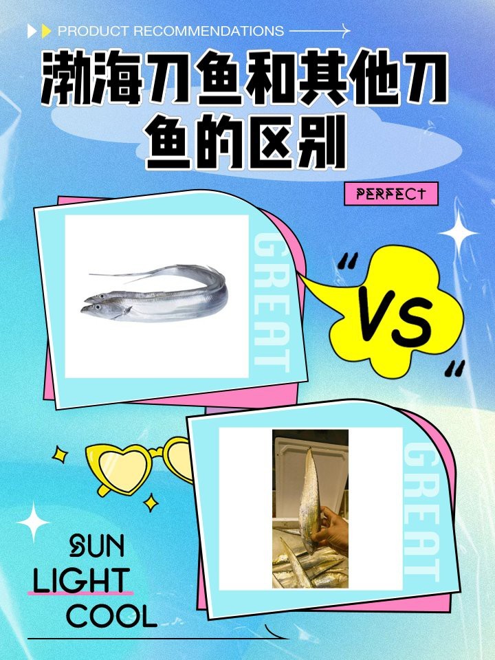 刀魚的種類和區別